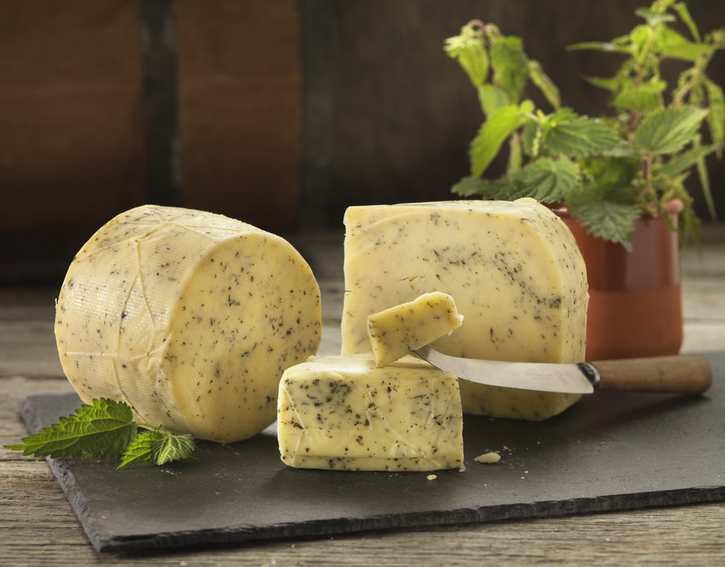 Northumberland Nettle image