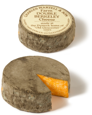 Double Berkeley image