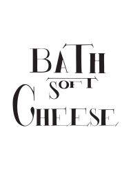 Bath Soft Cheese Co Ltd logo