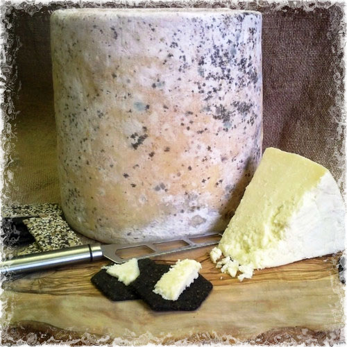 Clothbound creamy lancashire image